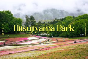 Hiysujiyama Park Cover